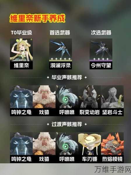 鸣潮手游,全角色声骸搭配深度攻略与实战技巧解析