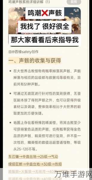 鸣潮手游深度攻略,声骸强化实战思路全解析