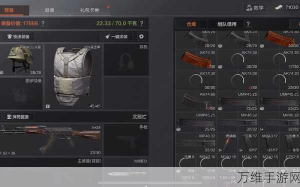 手游攻略,全面解析暗区突围仓库扩容秘籍