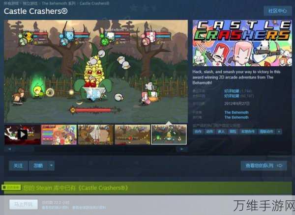 Steam点数大揭秘，解锁专属奖励，提升游戏格调！