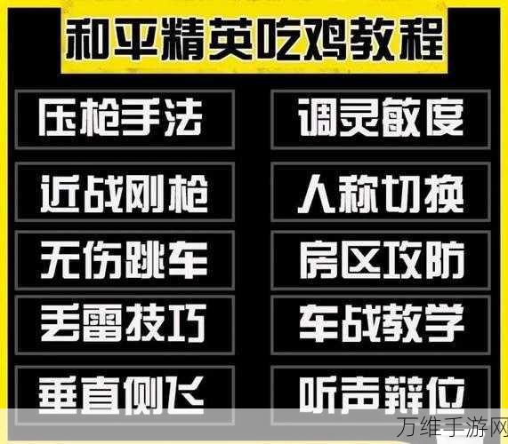 和平精英高手秘籍,掌握这些技巧,轻松制霸战场!