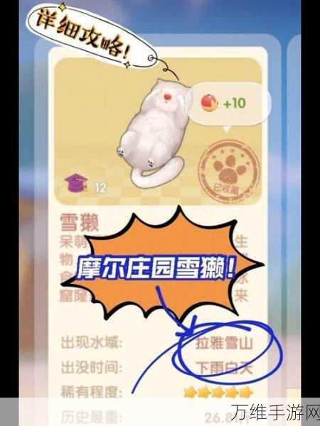 摩尔庄园攻略,解锁雪獭双人床的秘密技巧