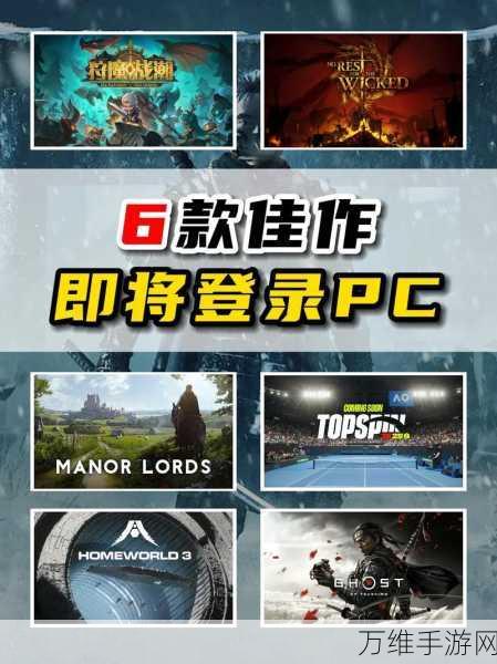 对马岛之魂PC版即将震撼登陆!最新消息揭秘