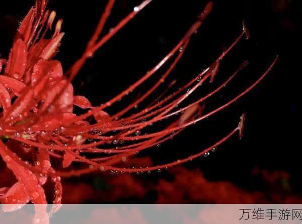 幽灵花安卓解锁版,黑白世界的闯关冒险之旅