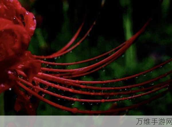 幽灵花安卓解锁版,黑白世界的闯关冒险之旅