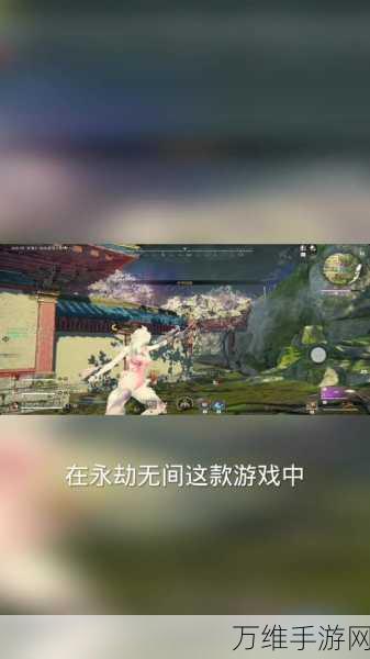 永劫无间帧数查看秘籍,解锁竞技优势,制胜赛场!
