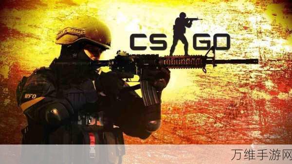 CSGO国服代码输入指南,解锁竞技新体验,畅享顶尖赛事激情
