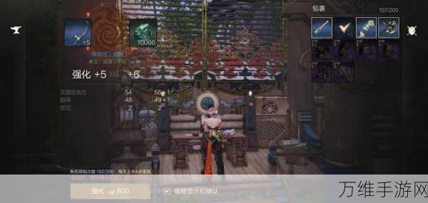 剑灵2深度攻略,弓剑灵搭配技巧与实战解析