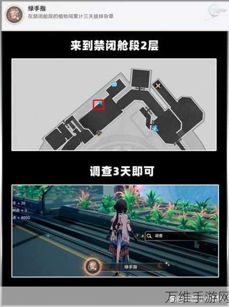 崩坏星穹铁道异宠拾遗,全稀有造物高效收集策略揭秘