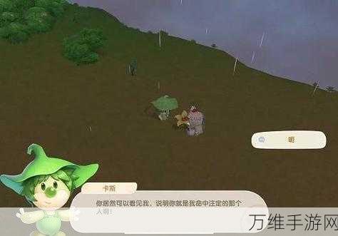 摩尔庄园NPC大揭秘,缺失的神秘角色究竟是谁?