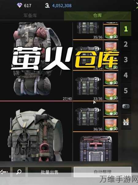 萤火突击,仓库爆满应对策略与高效管理秘籍