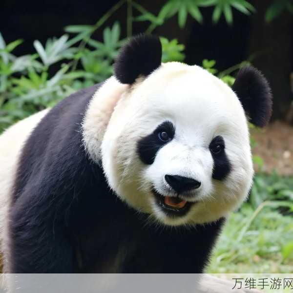 熊猫妹的奇妙解谜之旅,无限提示版清新来袭