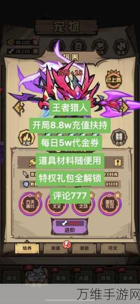 王者猎人顶尖攻略,揭秘刺客主C阵容的制胜之道