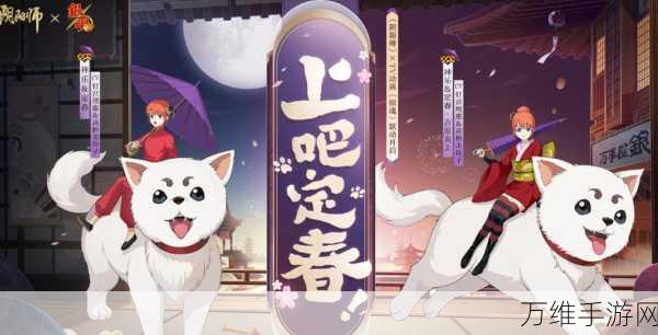 阴阳师SSR神乐定春全攻略,解锁技能奥秘,称霸斗技场
