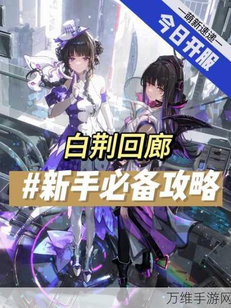 白荆回廊2024年度角色强度大揭秘，谁才是战场上的真正王者？