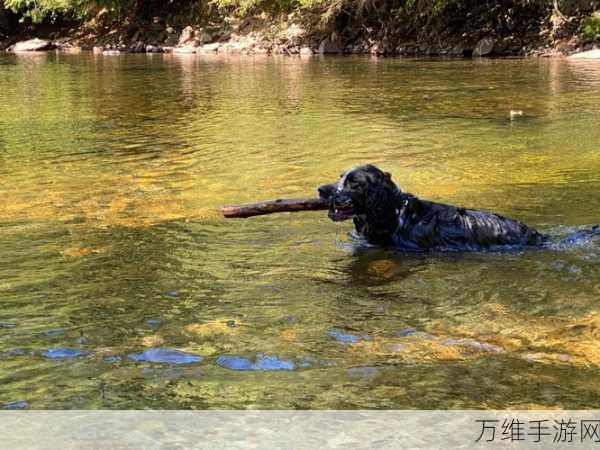 The Peak,刺激无限的敏捷爬山休闲竞赛