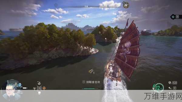 碧海黑帆深度攻略,高效采集金合欢,解锁海上宝藏的秘密