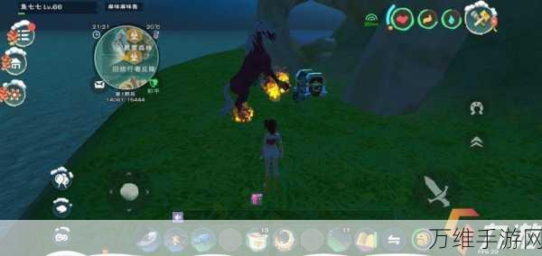 手游攻略,揭秘创造与魔法心月狐狸饲料独家制作秘籍