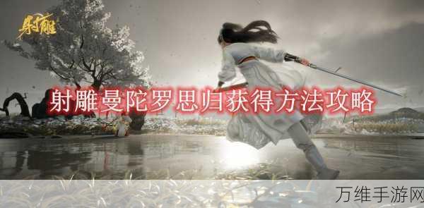 射雕手游珍稀宠物曼陀罗思归全攻略,解锁途径与培养秘籍