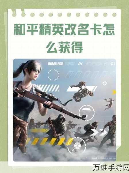 和平精英世界币购物指南,解锁珍稀道具与豪华体验