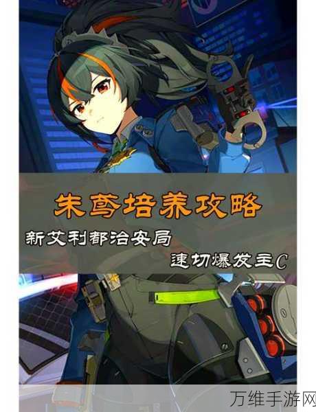 绝区零妮可顶级阵容搭配攻略,解锁战斗新境界