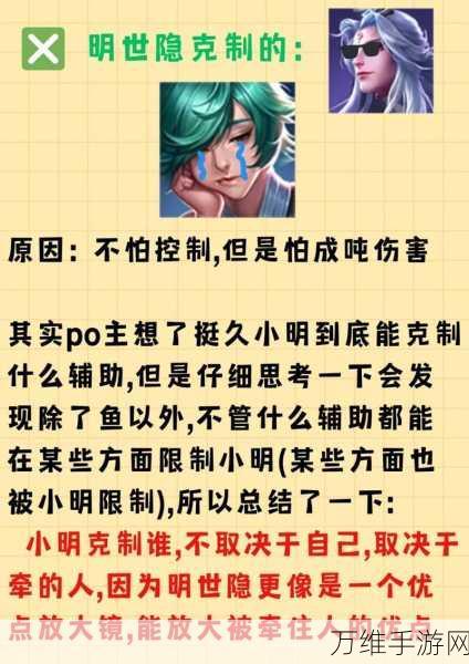 王者荣耀高手攻略,全面解析如何有效克制蔡文姬