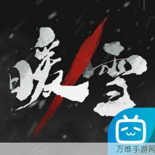 暖雪手游2024年永久兑换码大放送,速来领取!