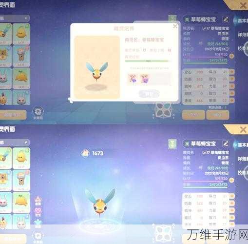 摩尔庄园宠物捕捉秘籍,高效攻略助你成功率飙升
