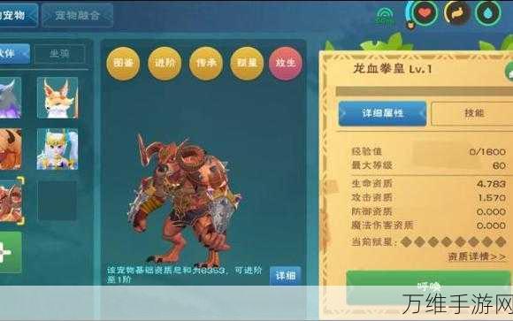 手游资讯,创造与魔法2024宠物融合大全,解锁全新战斗伙伴!