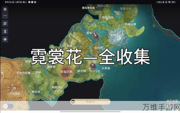 原神霓裳花采集指南,全地图位置详解与高效采集策略