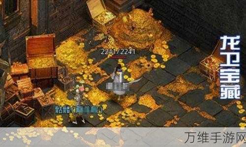 探秘龙之宝藏,新手必备攻略与深度玩法解析