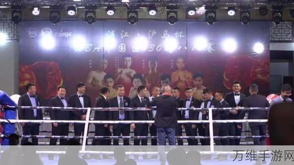 热血激战!伸缩拳头手游——拳击对抗巅峰对决