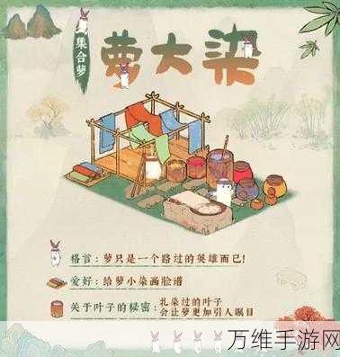 桃源深处有人家,揭秘小萝飞镖的神秘玩法与技巧