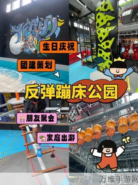 翻转反弹,畅享物理模拟蹦床的奇幻之旅