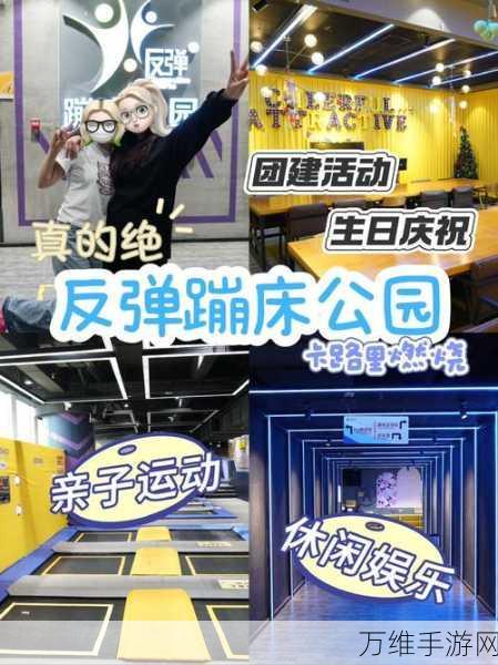 翻转反弹,畅享物理模拟蹦床的奇幻之旅