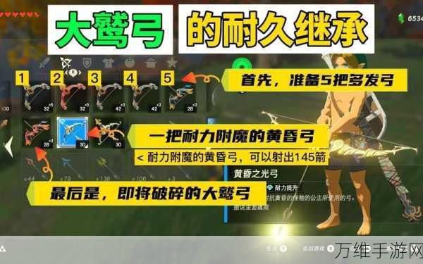 塞尔达传说深度攻略,揭秘利特族传统大鹫弓任务的制胜之道
