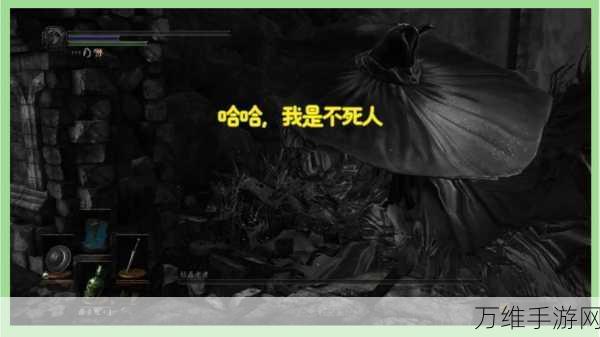 黑暗之魂3深度攻略,揭秘黑暗剑质变奥秘与获取途径