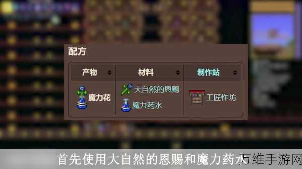 泰拉瑞亚攻略秘籍,揭秘钻石长袍的合成之道与制作细节
