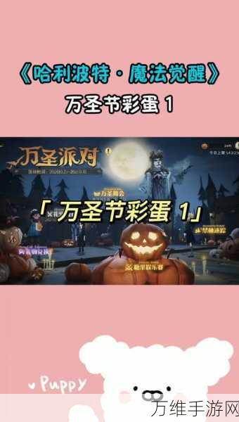 哈利波特魔法觉醒,万圣节兑换码独家揭秘,海量福利等你领!