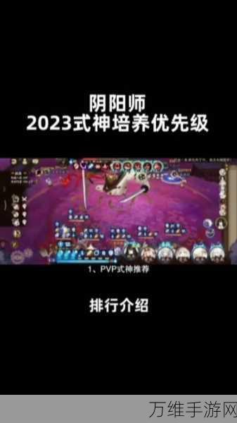 阴阳师2024年度兑换码全揭秘,领取福利与使用方法详解