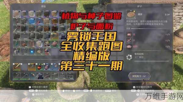 手游攻略,揭秘雾锁王国中树脂的高效获取秘籍