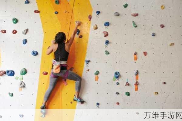 攀岩墙 2,挑战极限,畅享趣味攀岩之旅