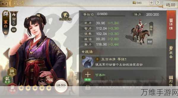 三国志战棋版董白怎么配队 董白阵容搭配攻略