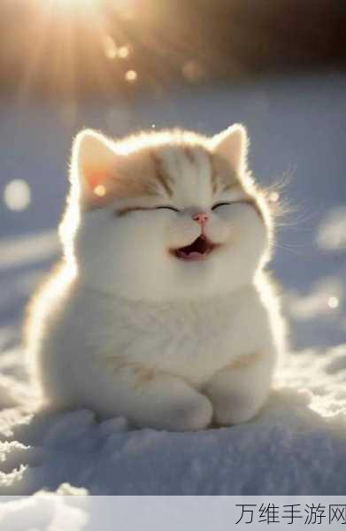 CattieCat 官方版,萌趣猫咪的敏捷大挑战