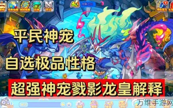 洛克王国冰龙王技能加点全解析,打造极致战斗力的秘诀
