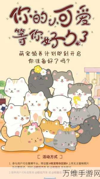 萌宠养成,驯服流浪猫手游,给爱猫玩家的专属惊喜
