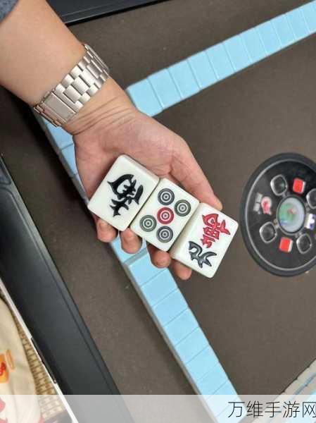 天境棋牌,趣味无限的棋牌之旅等你来战