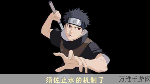 忍者学园深度攻略,揭秘幻术忍者技能搭配与实战技巧