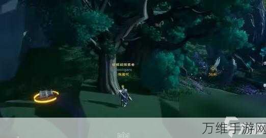 探秘塔瑞斯世界,杰克船长宝箱的奇幻之旅与详尽位置解析
