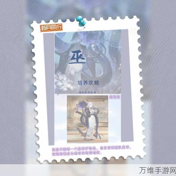 手游角色大比拼,新月同行巫与龙井深度对比分析